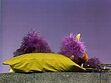 Two Headed Monster drop off to sleep after playing a lullaby on a trumpet