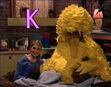Big Bird sleeps at the end of episode 4026