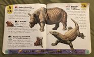 Extreme Animals Dictionary (13)