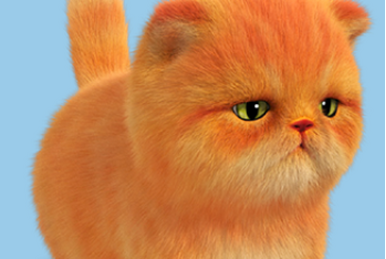 Fat cat mat best sale