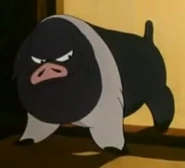 Napoleon as Savage Woog