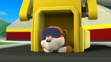 Rubble sleeping in Pups Save a School Day
