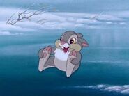 Thumper