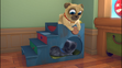 Bingo (Puppy Dog Pals) was sleeping to wake up with Rolly