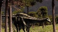 Diplodocus as Stretch