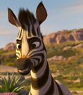 Khumba as Marty the Zebra