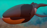 Omuras Whale