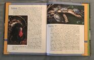 Scholastic Encyclopedia Of Animals (56)