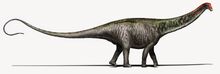 Brontosaurus Copyright DavideBonadonna-1.0.jpg