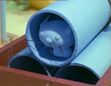Pilchard Sleeping in a tube