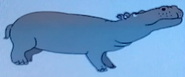 Batw-animal encyclopedia-hippopotamus