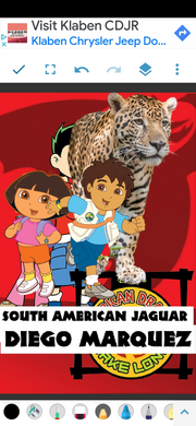 SAJ;DM Poster.png