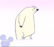 SGBBOA Polar Bear