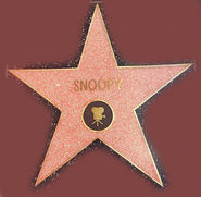 Snoopy's Star On The Hollywood Walk Of Fame