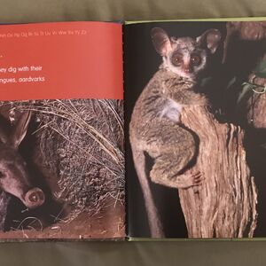List Of Species In African Animals Abc The Parody Wiki Fandom