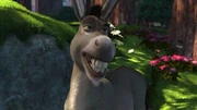 Donkey as Gopher