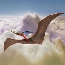 Pteranodon.jpg
