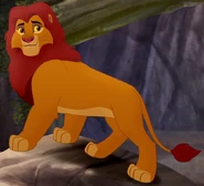 Simba as Mowgli's Father