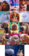 The Secret Life of Pets Characters in Off The Leash