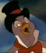 Henri as Aracuan Bird