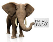 I'm All Ears