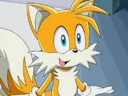 Tails as Scrat