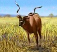 SimSafari Kudu