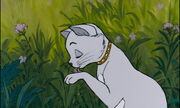 Aristocats-disneyscreencaps.com-3084