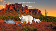 Arizona (Madagascar).png