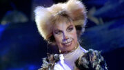 Cats (1998) - Jellylorum smiling.jpg