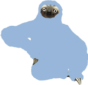 Foward