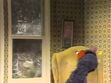 Grover goes to sleep in the chair, leaving Kermit outside in the snow
