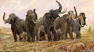 Woolly Mammoths as Elephants