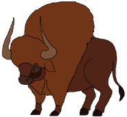 Jeff as an American Bison