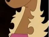 Jill (The Secret Files of the Spy Dogs)