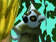 Ring-tailed-lemur-zootycoon2018