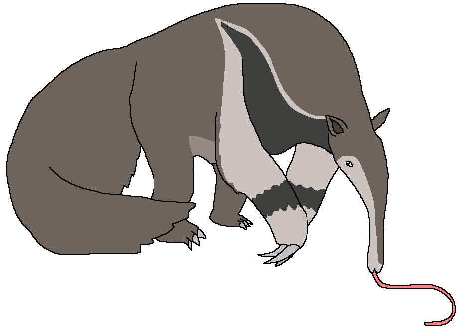 Giant Anteater, Adopt Me! Wiki