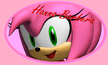 Amy Rose Hanna-Barbera All-Stars