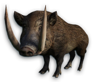 FC3 cutout boar