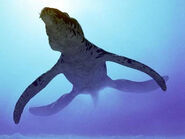 Liopleurodon as Jetsam
