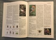 The Kingfisher Illustrated Encyclopedia of Animals (23)