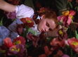 Wizardofoz-movie-screencaps.com-6500