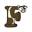 Ferret