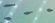 Ponyo Wrought Iron Butterflyfish