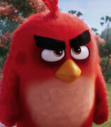 Red in The Angry Birds Movie-0