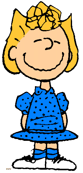 sally brown dress Peanuts Sally Women's Costume