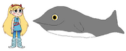 Star meets Beaked Whale