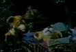 Theo Cleo Lionel and Leona Lion sleeping