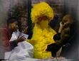 Big Bird sleeps with Gordon and Susan in his nest
