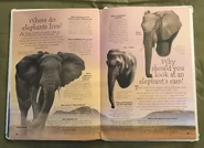 Endangered Animals (Over 100 Questions and Answers to Things You Want to Know) (10).jpeg (1.25 MB)